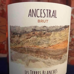 Les Terres Blanches - Celine & Benoit Blet - Ancestral Blanc