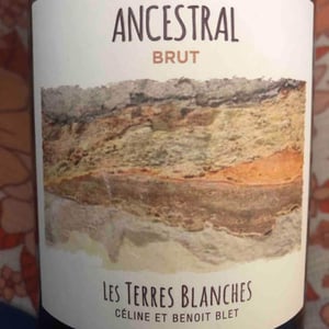 Les Terres Blanches - Celine & Benoit Blet - Ancestral Blanc