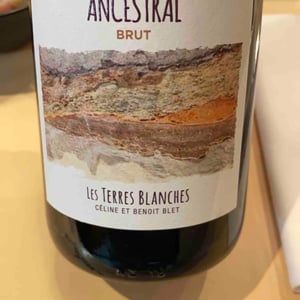 Ancestral Blanc - Les Terres Blanches - Celine & Benoit Blet -2022