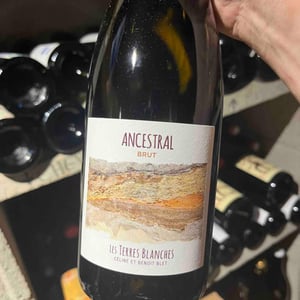 Ancestral Blanc - Les Terres Blanches - celine-benoit-blet -2022