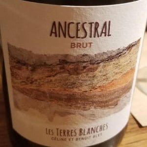 Ancestral Blanc - Les Terres Blanches - Celine & Benoit Blet -2022