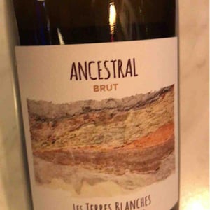 Ancestral Blanc - Les Terres Blanches - celine-benoit-blet -2022