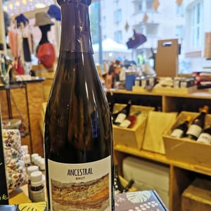Ancestral Blanc - Les Terres Blanches - celine-benoit-blet -2022