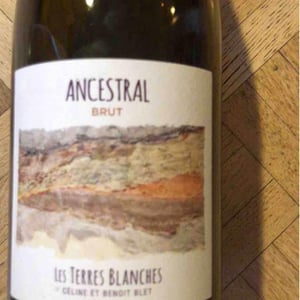 Les Terres Blanches - Celine & Benoit Blet - Ancestral Blanc