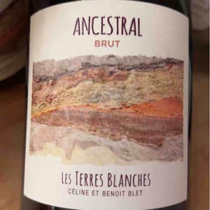 Ancestral Blanc - Les Terres Blanches - Celine & Benoit Blet -2022