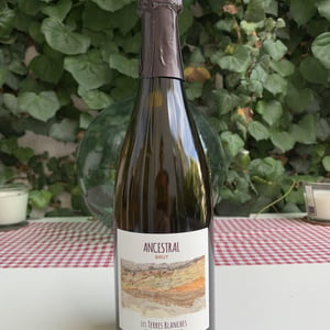 Ancestral Blanc - Les Terres Blanches - celine-benoit-blet -2022