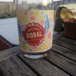 Ancestral Bobal - Bodegas Cueva - Mariano Taberner 