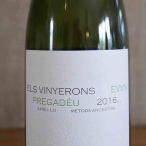 Pregadéu Ancestral - Els Vinyerons / Sin Project - Amós Bañeres Merinero & Alex Ruiz Masachs 