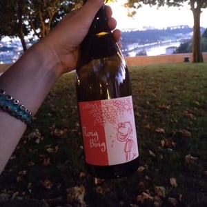 Celler La Salada - Toni Carbó - Roig Boig Ancestral