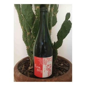 Celler La Salada - Toni Carbó - Roig Boig Ancestral
