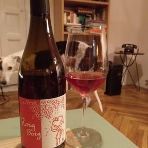 Celler La Salada - Toni Carbó - Roig Boig Ancestral