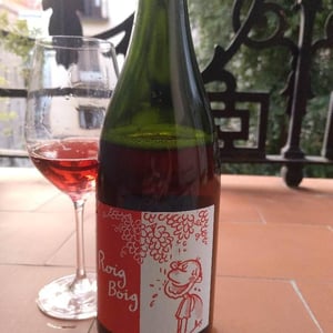 Celler La Salada - Toni Carbó - Roig Boig Ancestral