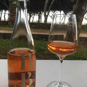 BB Bobal Espumoso Ancestral 2016