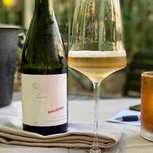 Weingut Claus Preisinger - Claus Preisinger - Ancestral