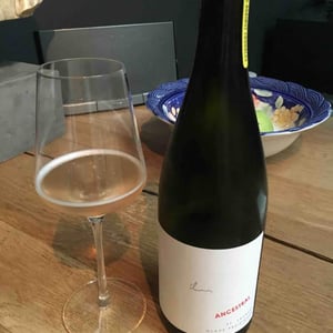 Weingut Claus Preisinger - Claus Preisinger - Ancestral