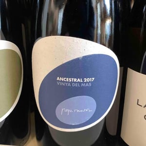 Ancestral Vinya del Mas - Vins Pepe Raventós - pepe-raventos-2i