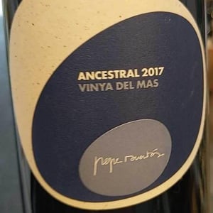 Ancestral Vinya del Mas - Vins Pepe Raventós - pepe-raventos-2i