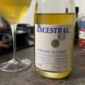 Bosqueta Ancestral - Ve d'Avior - Cati Ribot 