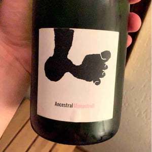 Ancestral Xarel-lo - Celler Cal Tiques - joan-rubio