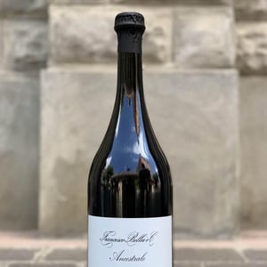 Ancestrale Pignoletto - Francesco Bellei - giuseppe-bellei