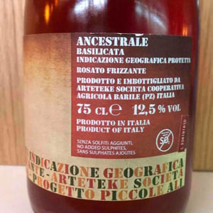 Ancestrale - Arteteke Società Cooperativa Spa - Arteteke Società Cooperativa Spa 