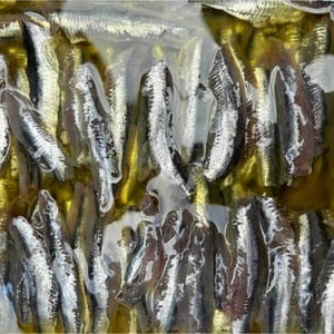 Anchois Maison - la Famille - 793033