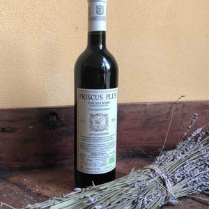 Priscus - Podere Casaccia Sine Felle - Roberto Moretti 