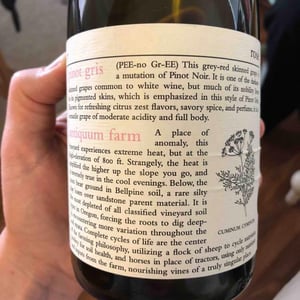 Antiquum Farm - Minimus Wines / Omero/ Origin / Craft Wine Co. - Laura Cusick & Meredith Bell 