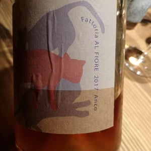 Anco - Fattoria Al Fiore - Hirotaka Meguro 