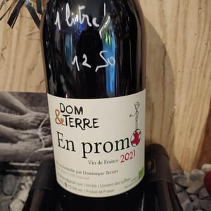 En Promo - Dom&Terre - dominique-terrier -2021