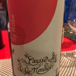 Sy Rose - Causse Marines - Patrice Lescarret & Virginie Maignien 