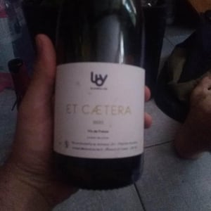 Et Caetera - Le Breton Vial - Julie Le Breton & Christophe Vial 