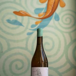 Mà de Mas Perdut - Finca Mas Perdut - josep-i-rebeca
