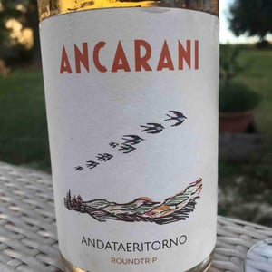 Andataeritorno 2021