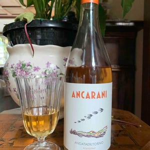 Ancarani - Rita Babini & Claudio Ancarani - Andataeritorno