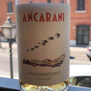 Andataeritorno - Ancarani - Rita Babini & Claudio Ancarani 