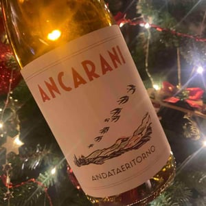 Andataeritorno - Ancarani - Rita Babini & Claudio Ancarani 