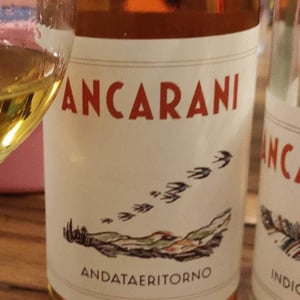 Andataeritorno - Ancarani - Rita Babini & Claudio Ancarani 
