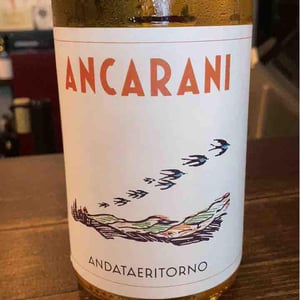 Andataeritorno - Ancarani - Rita Babini & Claudio Ancarani 