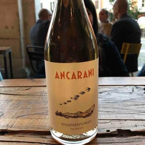 Andataeritorno - Ancarani - rita-babini-claudio-ancarani