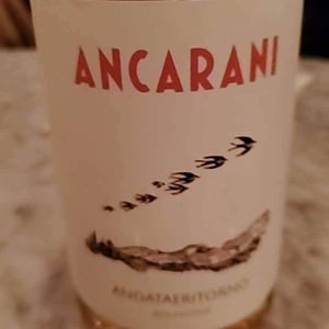 Ancarani - Rita Babini & Claudio Ancarani - Andataeritorno