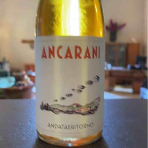 Andataeritorno - Ancarani - Rita Babini & Claudio Ancarani 