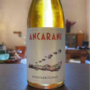 Andataeritorno - Ancarani - Rita Babini & Claudio Ancarani 
