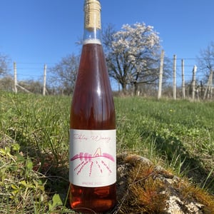 André - Šiklóš Winery - viktor-sipos -2022