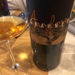 Anfora - Azienda Agricola Gravner Francesco - josko-gravner