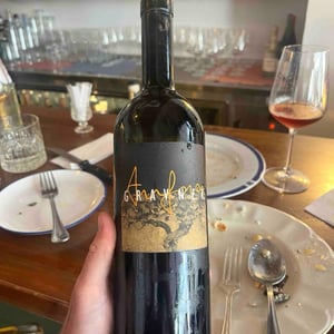 Azienda Agricola Gravner Francesco - Josko Gravner - Anfora