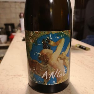 Ange - Domaine de L'Ecu - claire-fred-niger