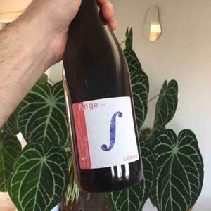 Ange ou Demon - Domaine Saurigny - Jérôme Saurigny 