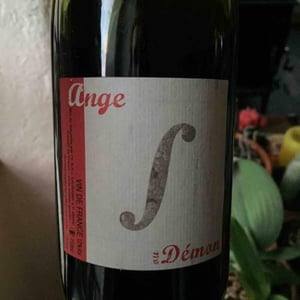 Ange ou Demon - Domaine Saurigny - jerome-saurigny