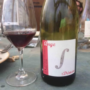 Ange ou Demon - Domaine Saurigny - jerome-saurigny